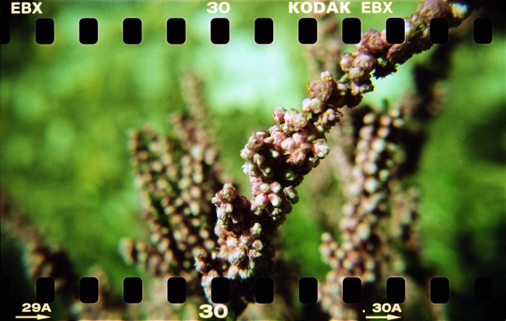 8038676054_75fe13ce9b_c