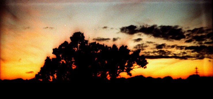 8132532906_cfa7d3a7ed_c