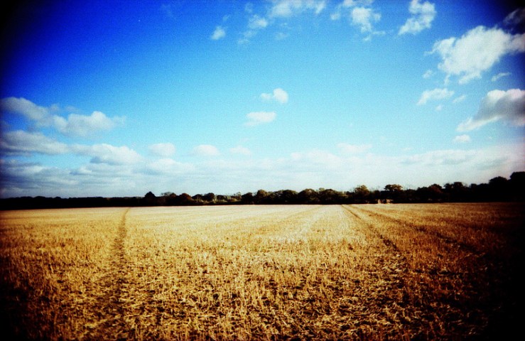 8169737177_05b7cb52e4_c