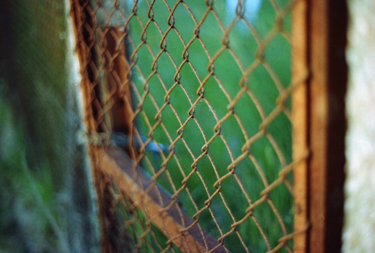 9043106613_1062fdb23c_b