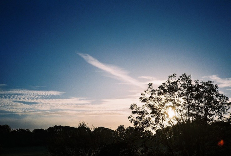 21982559358_6f702164ea_b