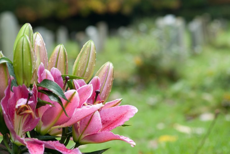 23543298848_d9048b0b91_b