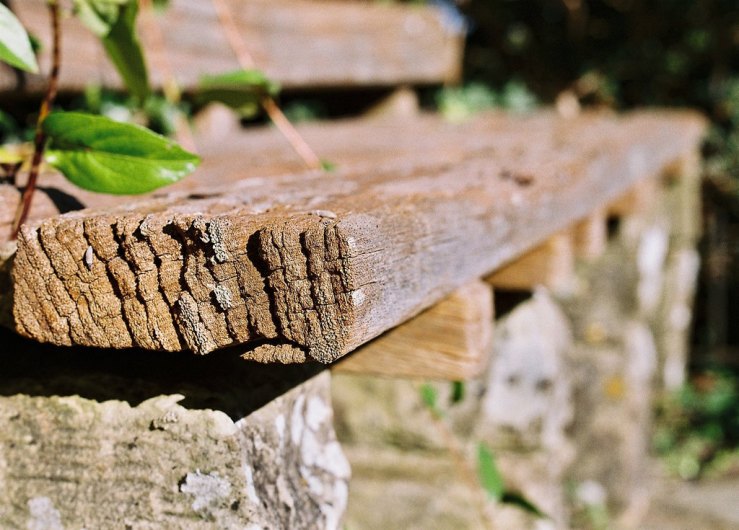 29343376634_01bfe35f56_b