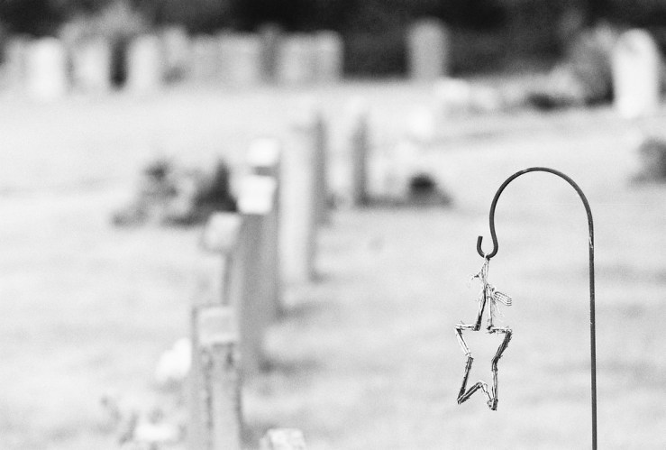 32536097742_105f3dc2c4_b