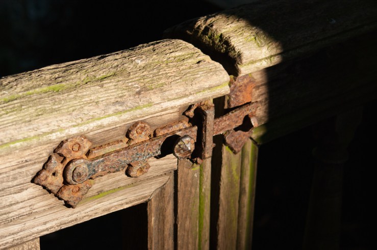 32977056566_cf72f345e2_b