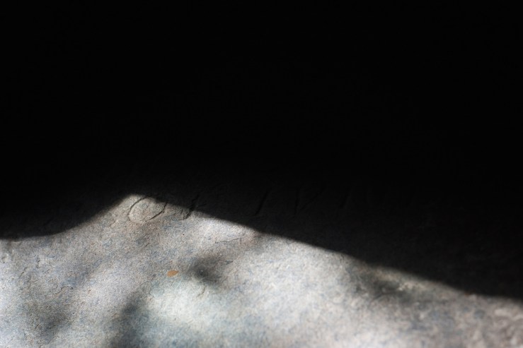 36539516313_71993cc1c5_b