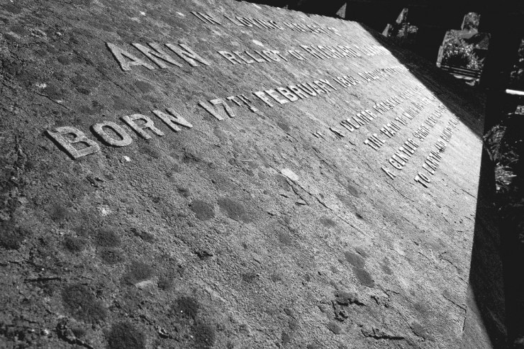 37200170384_887661982c_b