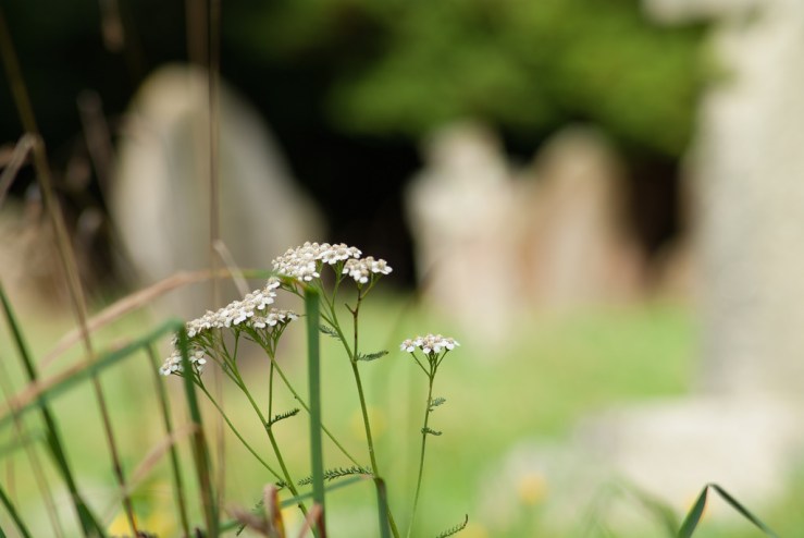 37412152346_67d87af319_b