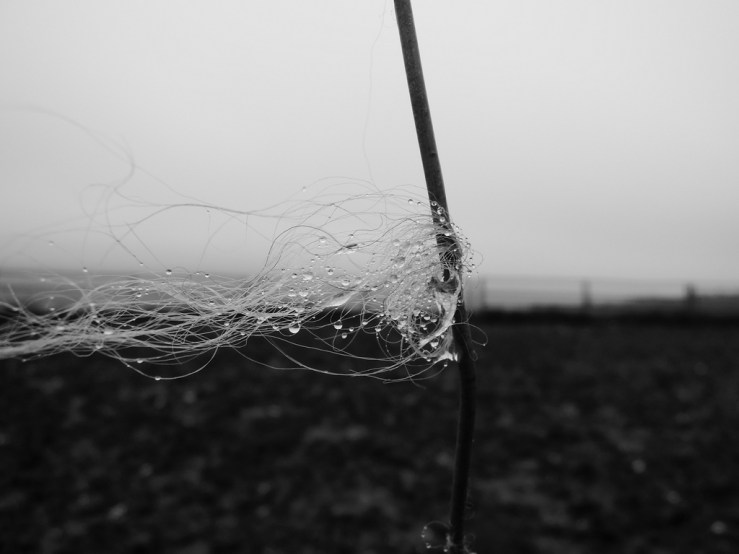 6334328279_b3936004f7_b