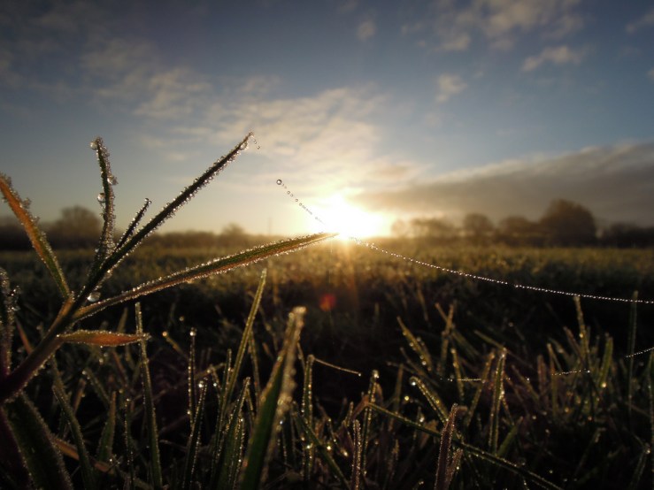 6440981299_b2392660b9_b