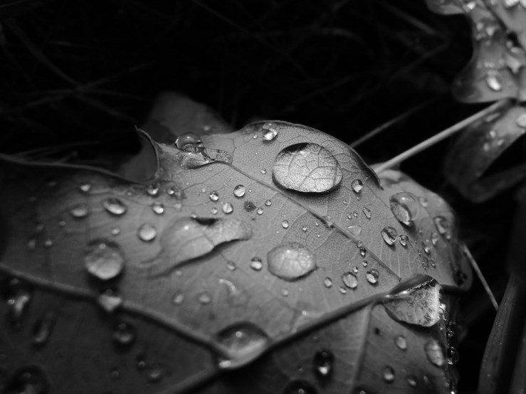 7478532262_d91bee576f_b