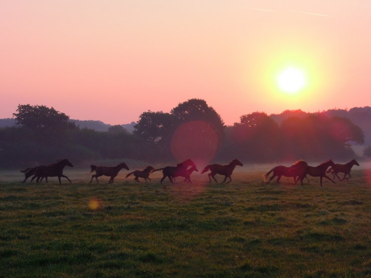 7676245552_8bc3f31c2a_b