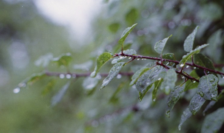 9776323415_5f24290b70_b