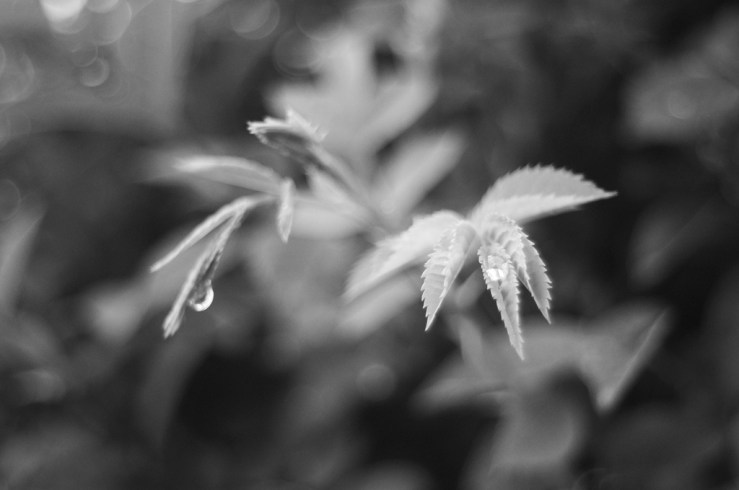 14090182477_2bb104bd31_b