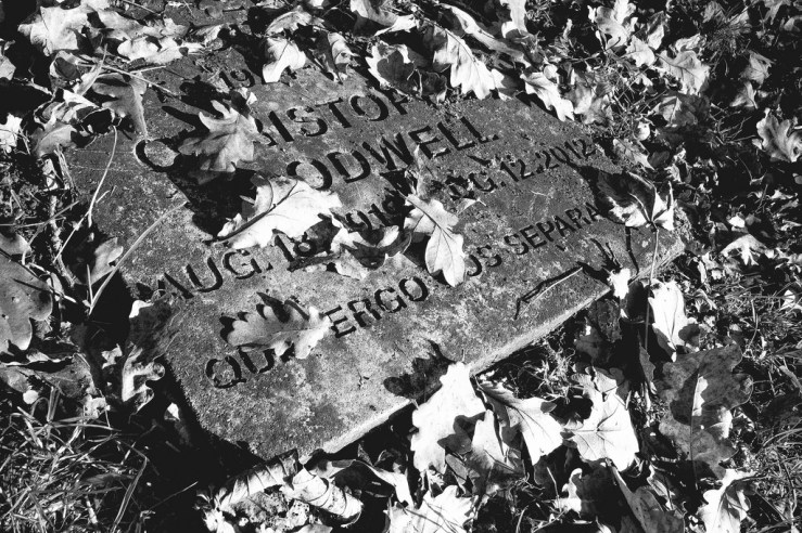 24571892028_ccba47d0d9_b