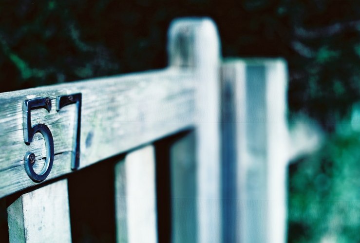 30805331314_e41d518ba3_b