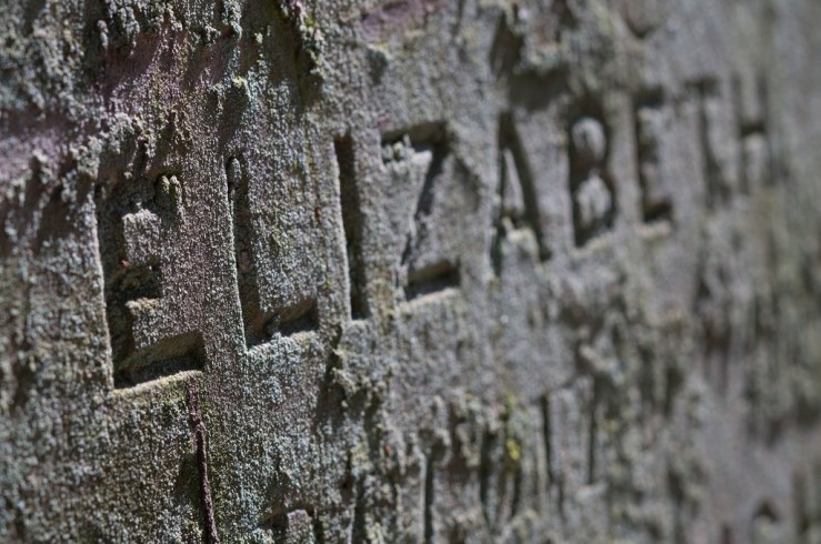 33663868423_d547e05efa_b