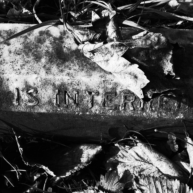 37387045134_4c0371d6ca_z