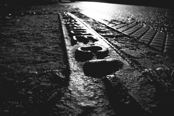 37592810344_2d3cbfb6a4_b