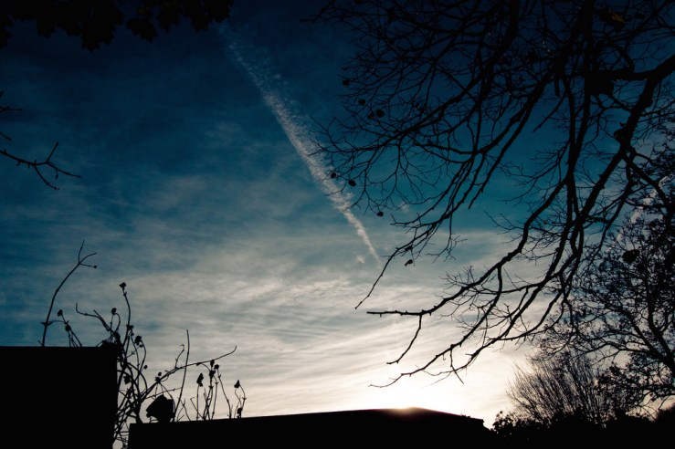 37592811634_eefd1c74f9_b