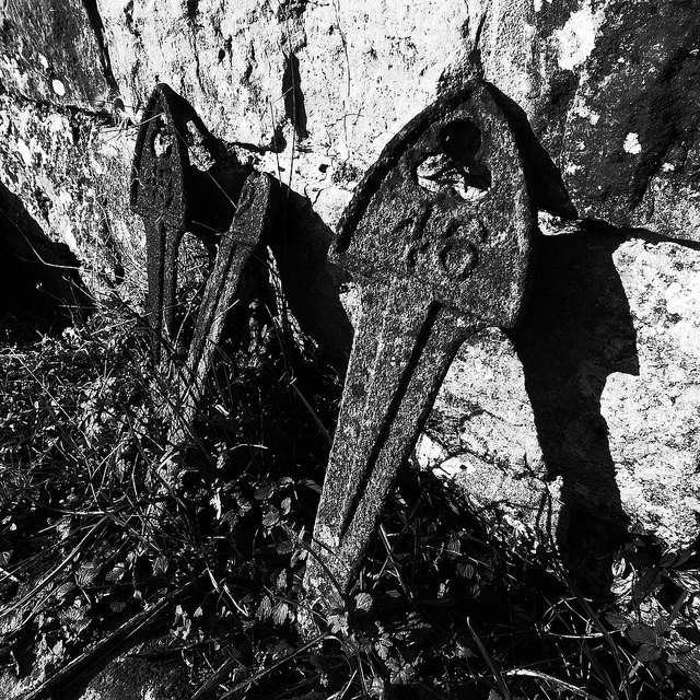 37995109551_67cd94208c_z