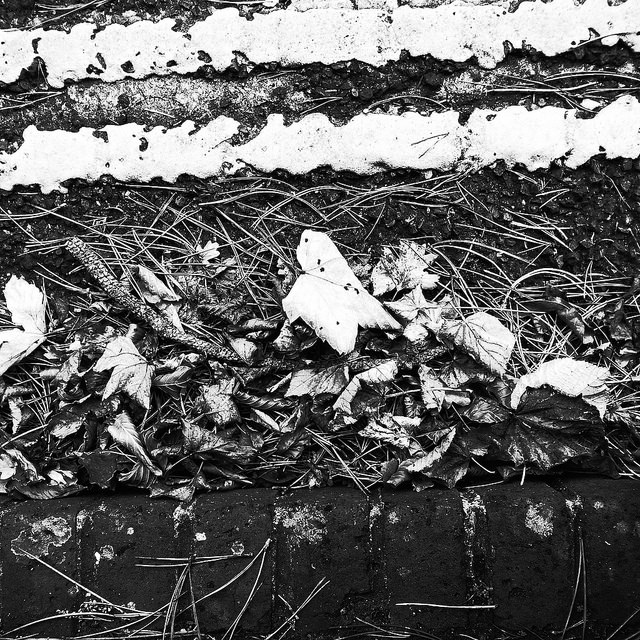 38018472326_f4bbc37620_z