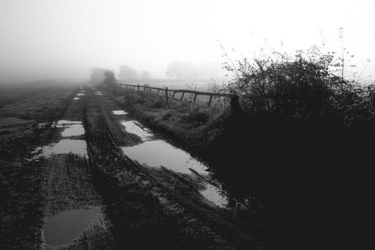 38167811856_d8aa5266bb_b