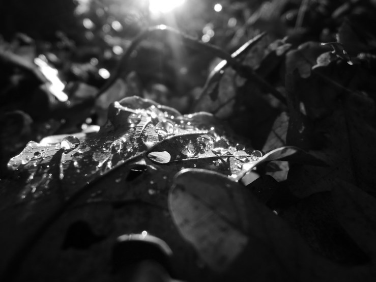 6399527001_e79c715698_b