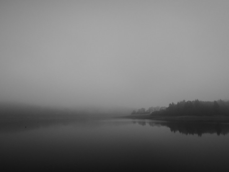 6946573099_cdd30a7acf_b