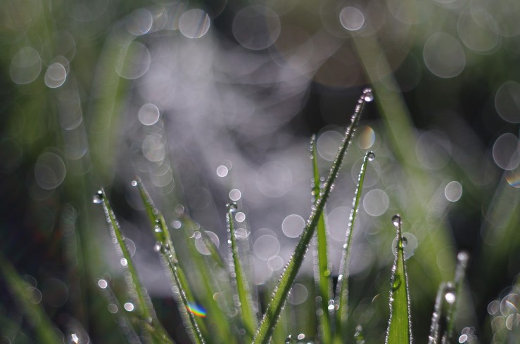 14231843781_300d4a9b7d_b