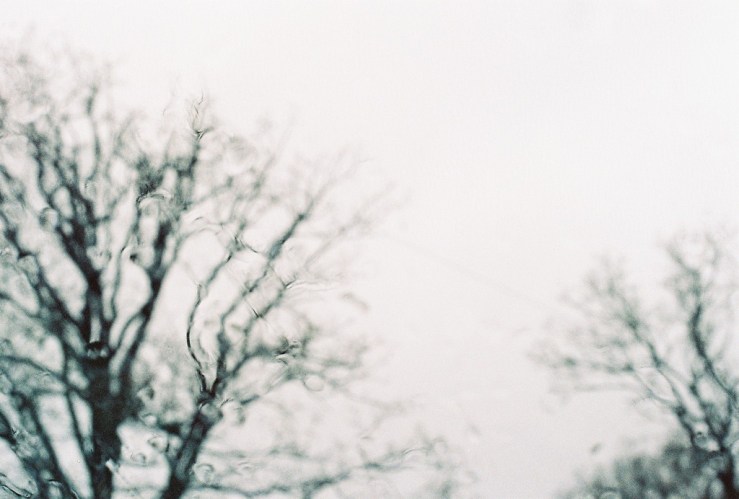 15799903804_6edda189b5_b