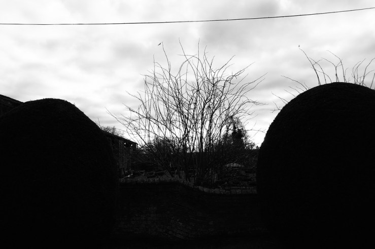 24280272367_4f6708b798_b