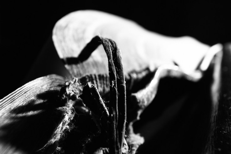 25057950258_f44e96ab8c_b