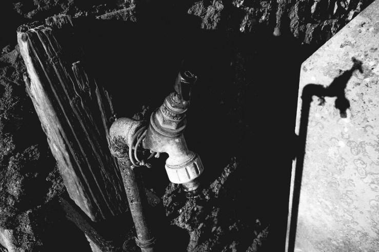 27387502559_22f2f4f2eb_b