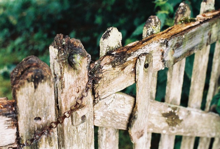 29282223672_42f91ded0d_b