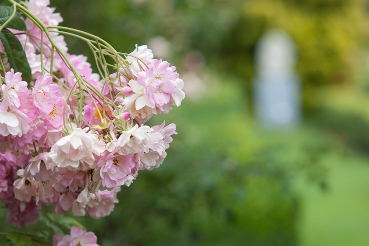 35699405245_f3b35c1b1c_b