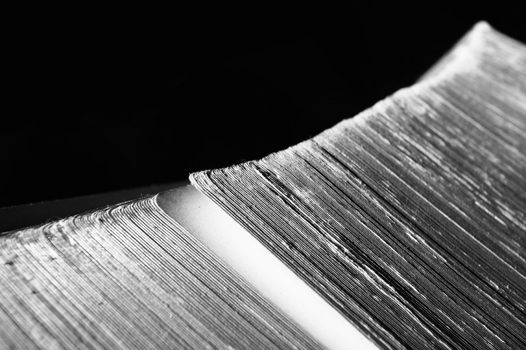 38082671295_37e90ab235_b