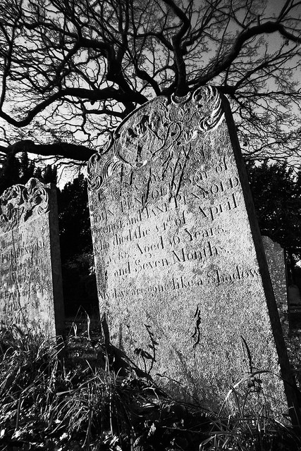 38360300904_a37aa4f77b_z