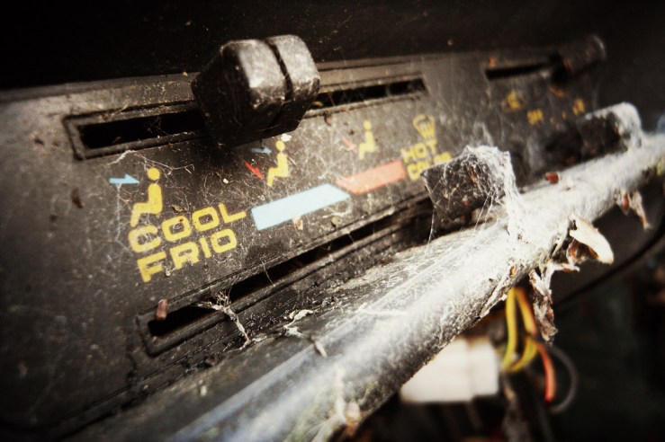 38703932854_b27bc13bba_b