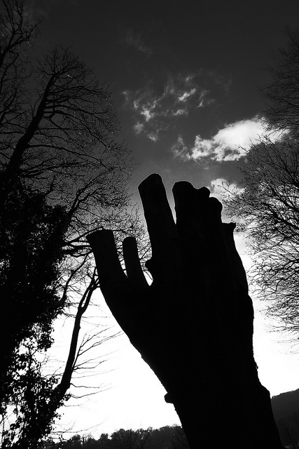 39039658102_cbe79f4cd5_z