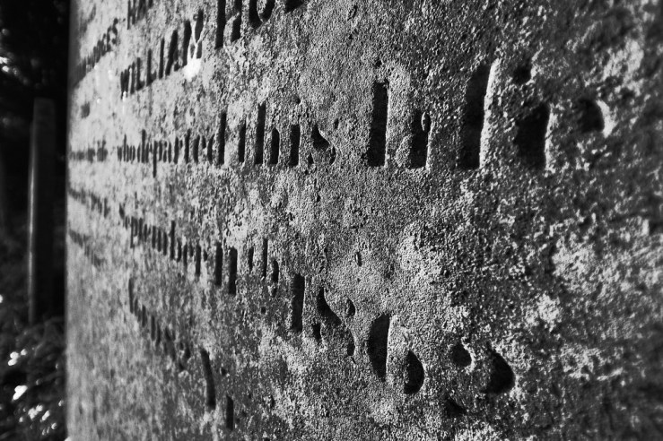 39039659172_f065620ff1_b