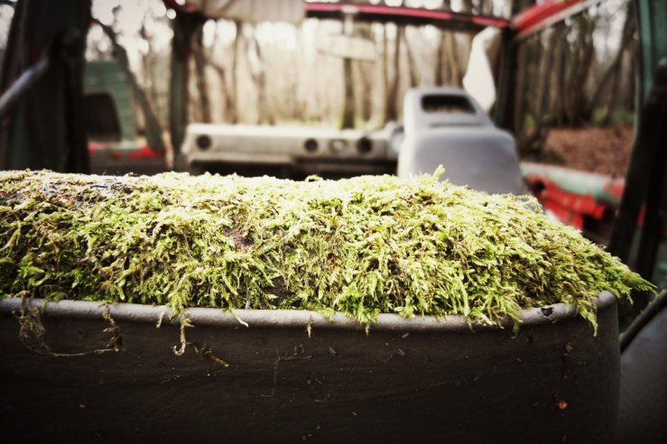 39412303031_3be8f57ff6_b