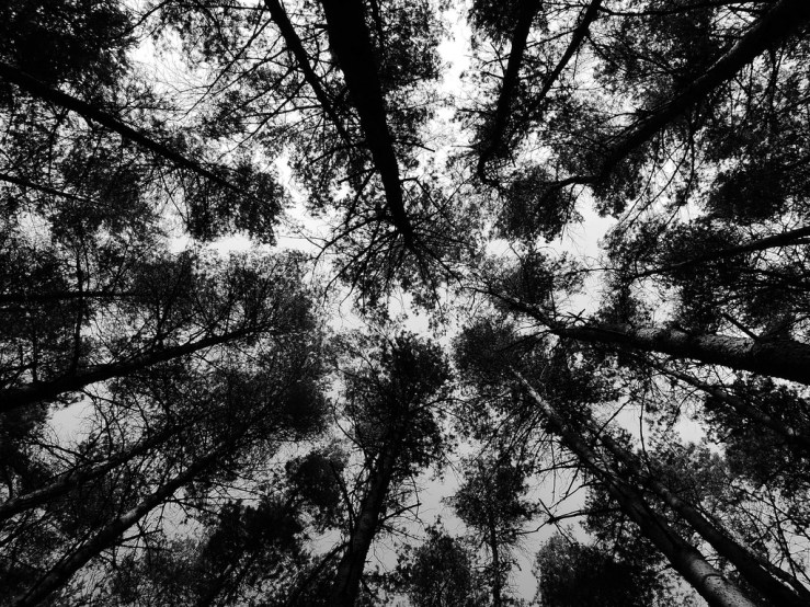 6883671620_a14658809e_b