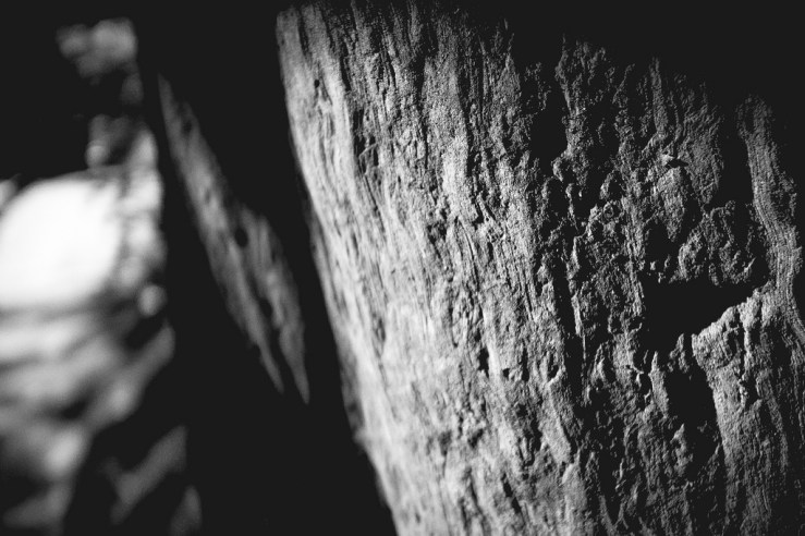 24653654898_1ac619f2a8_b