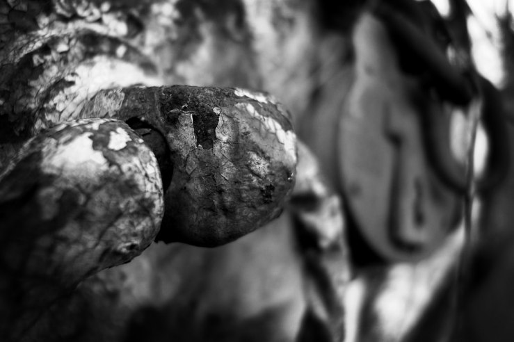 27700382119_de60ffdc2a_b