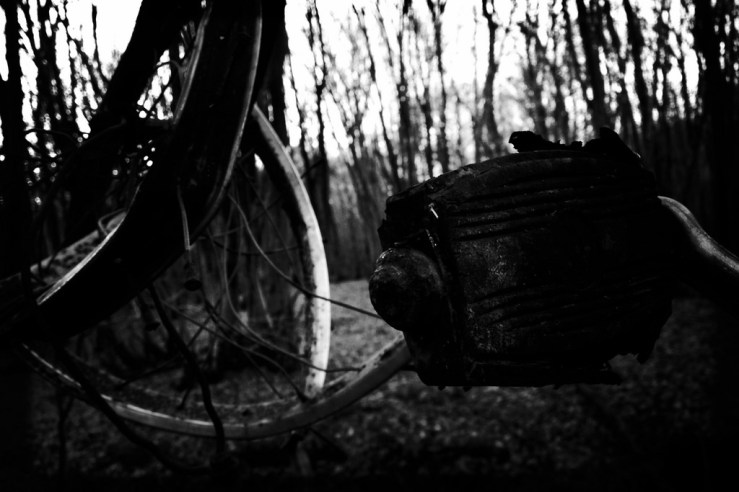 27785402859_2b997acd79_b