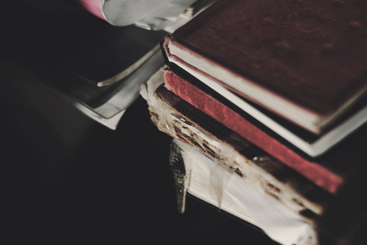 38578369185_95bc4a9407_b