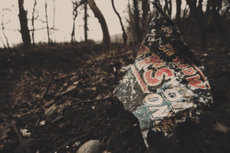 38686525505_7ab293ca7d_b