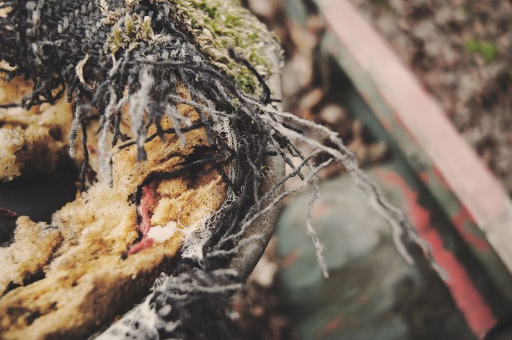 38726437764_7b7490137a_b