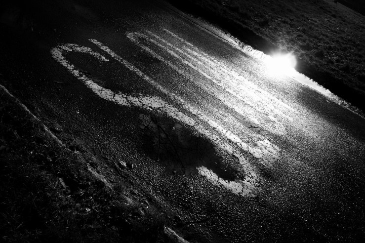 38768915614_ff6693834a_b